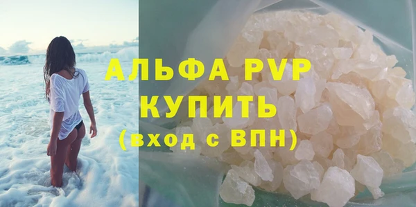 индика Верея