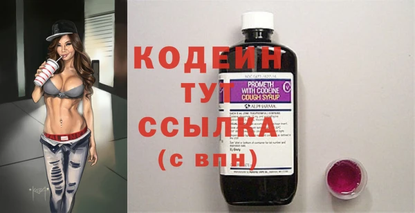 индика Верея