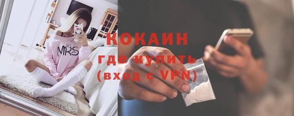 индика Верея