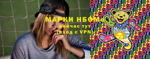 индика Верея