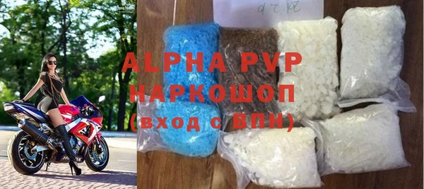 индика Верея