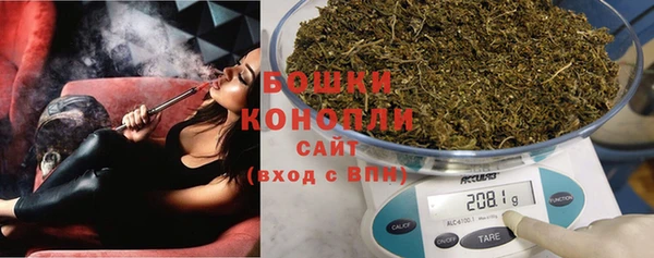 индика Верея