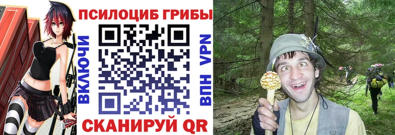 Галлюциногенные грибы мухоморы кракен как войти Новоржев